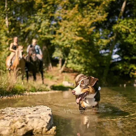 Beuggen 3* Karsau